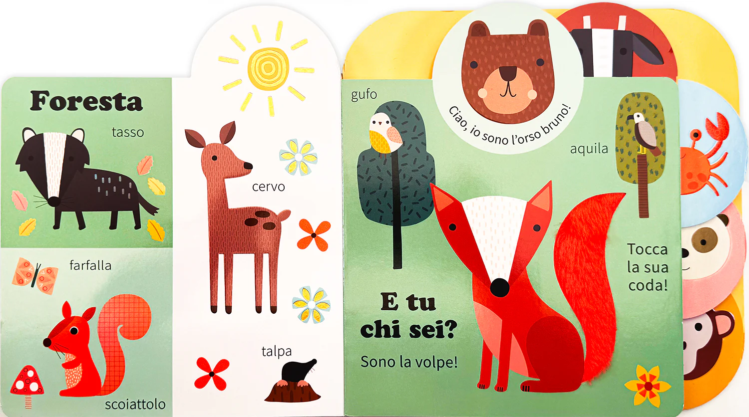 Animali - Image 2