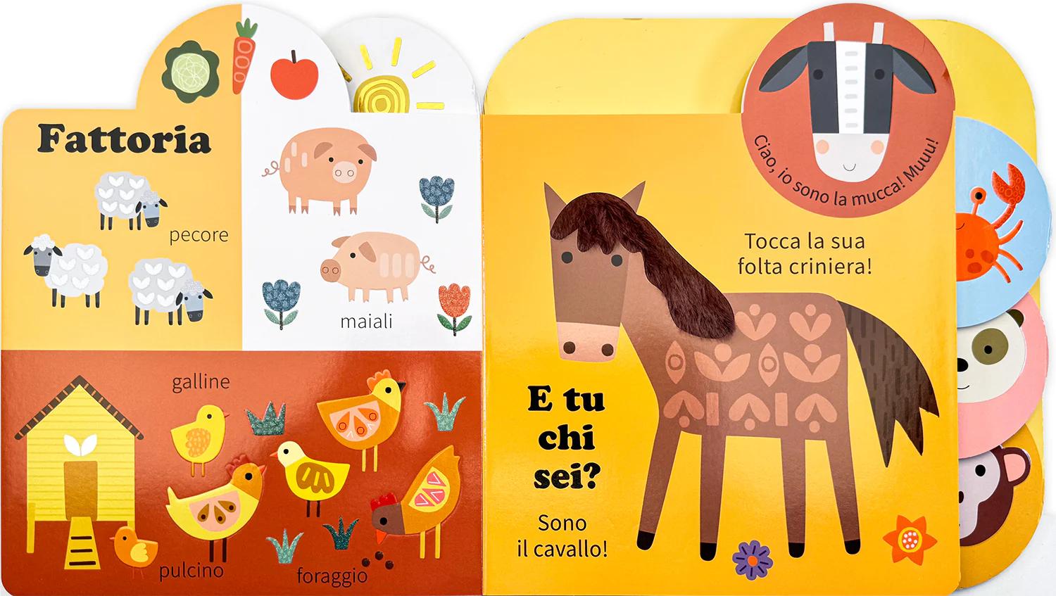 Animali - Image 3