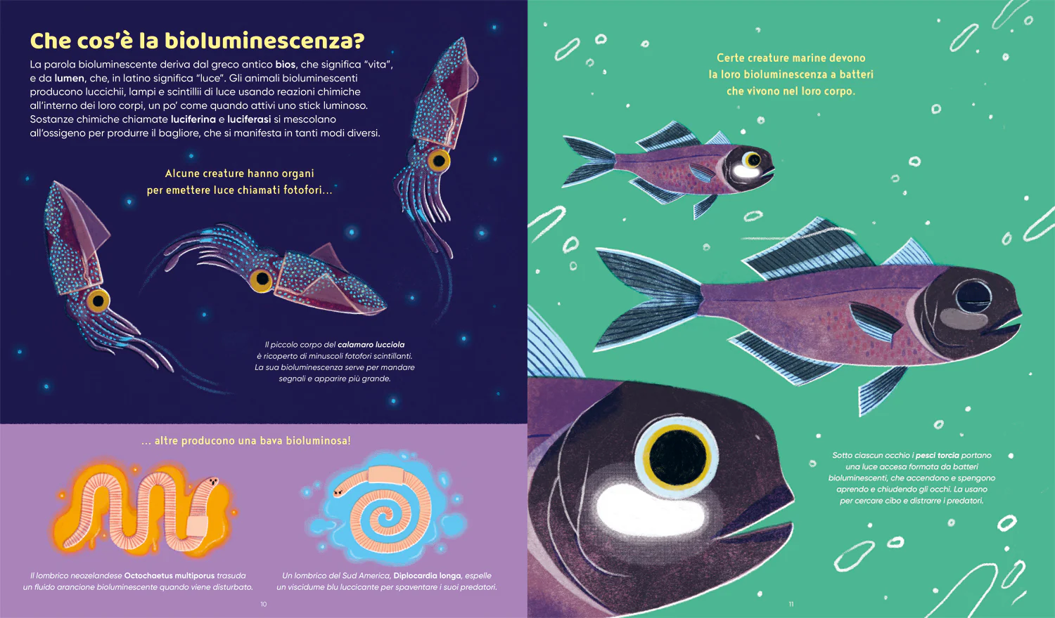 Animali che brillano nel buio - Image 3