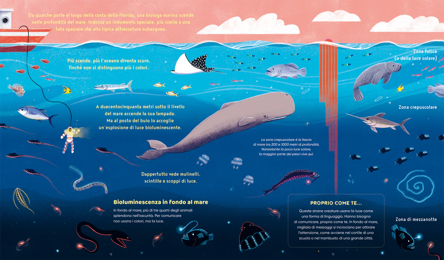 Animali che brillano nel buio - Image 4