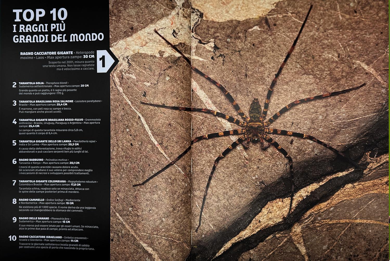 Animali. Un'enciclopedia di fatti fantastici - Image 3