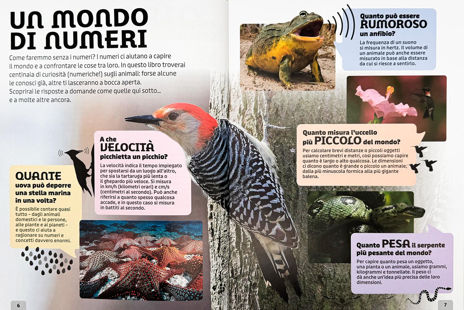 Animali. Un'enciclopedia di fatti fantastici - Image 4