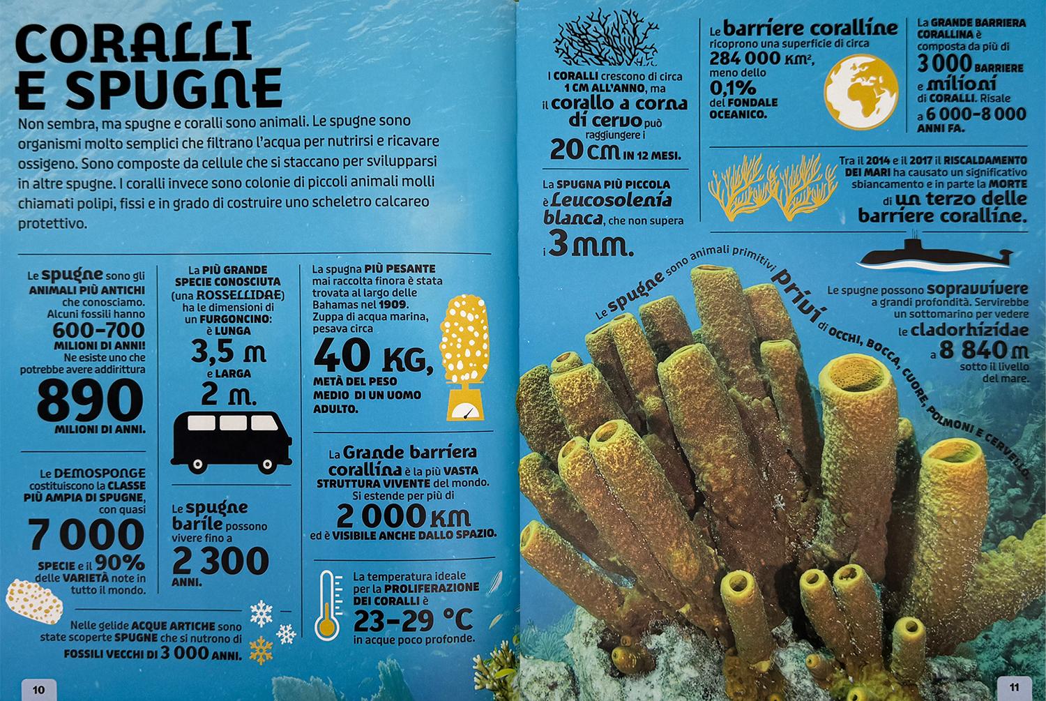 Animali. Un'enciclopedia di fatti fantastici - Image 5