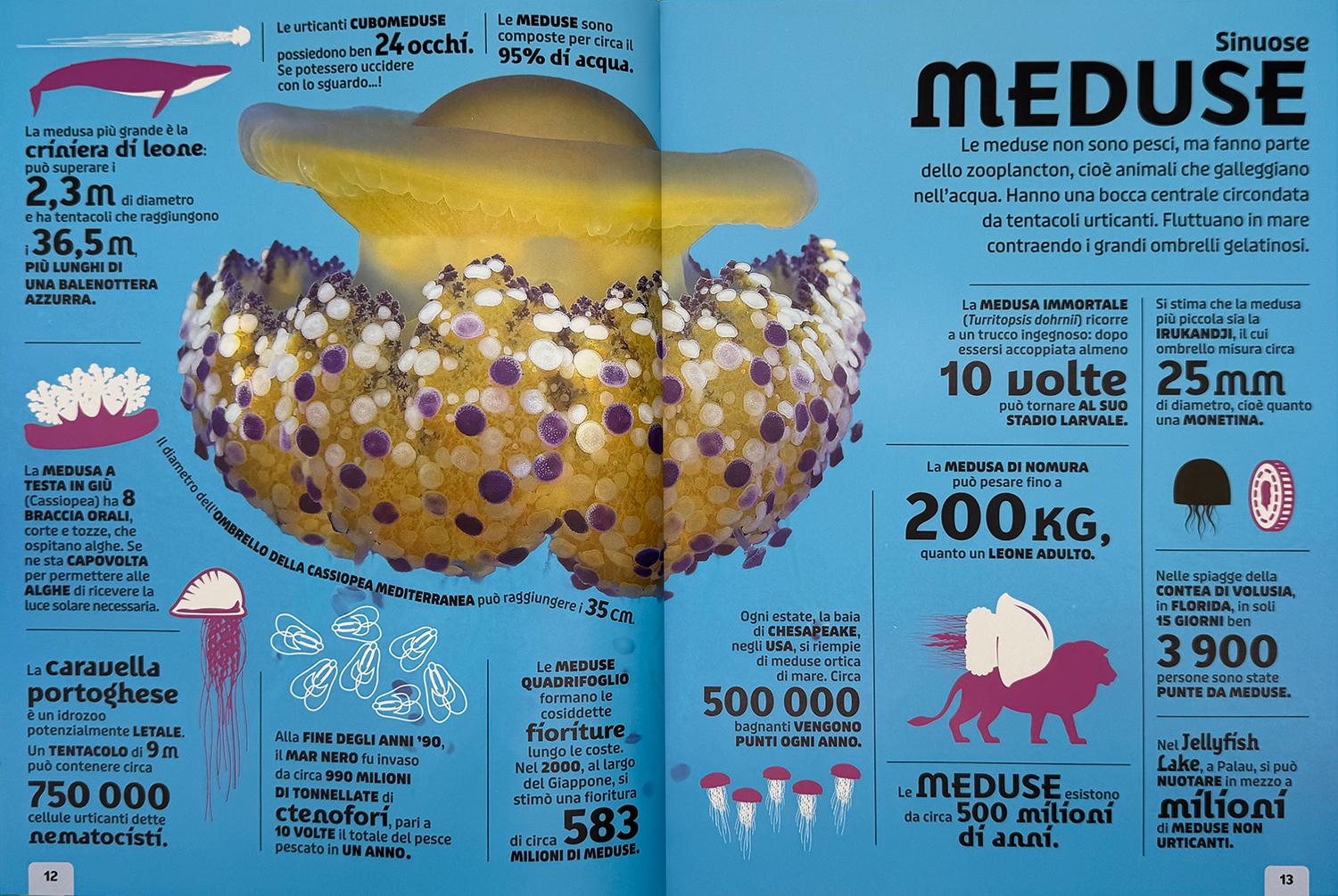 Animali. Un'enciclopedia di fatti fantastici - Image 6