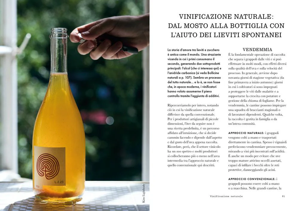 Bere il vino naturale - Image 3