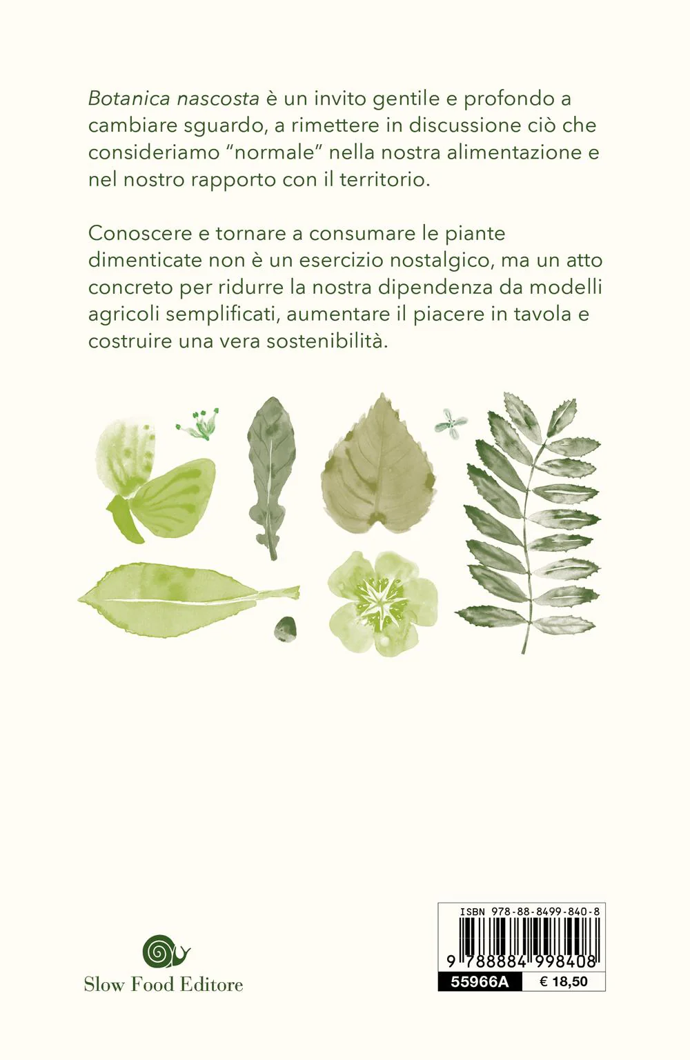 Botanica nascosta. Storia, curiosità, superpoteri delle piante dimenticate. Storia, curiosità, superpoteri delle piante dimenticate - Image 2