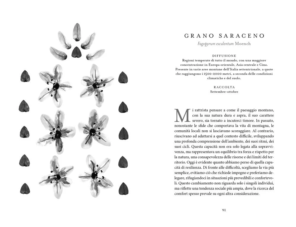 Botanica nascosta. Storia, curiosità, superpoteri delle piante dimenticate. Storia, curiosità, superpoteri delle piante dimenticate - Image 4