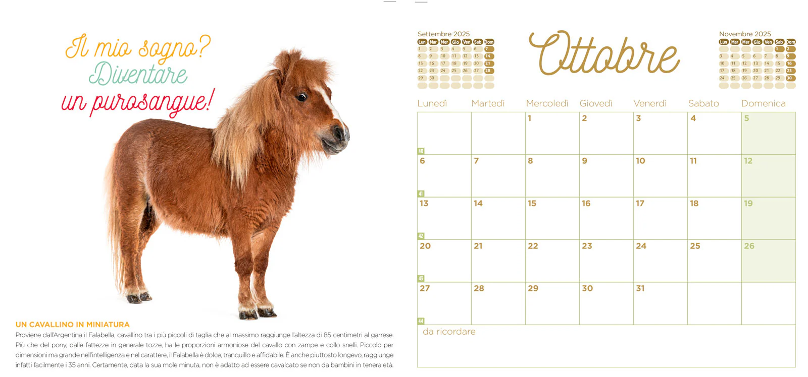 Calendario Cuccioli 2025 da tavolo (17 x 16 cm) - Image 3