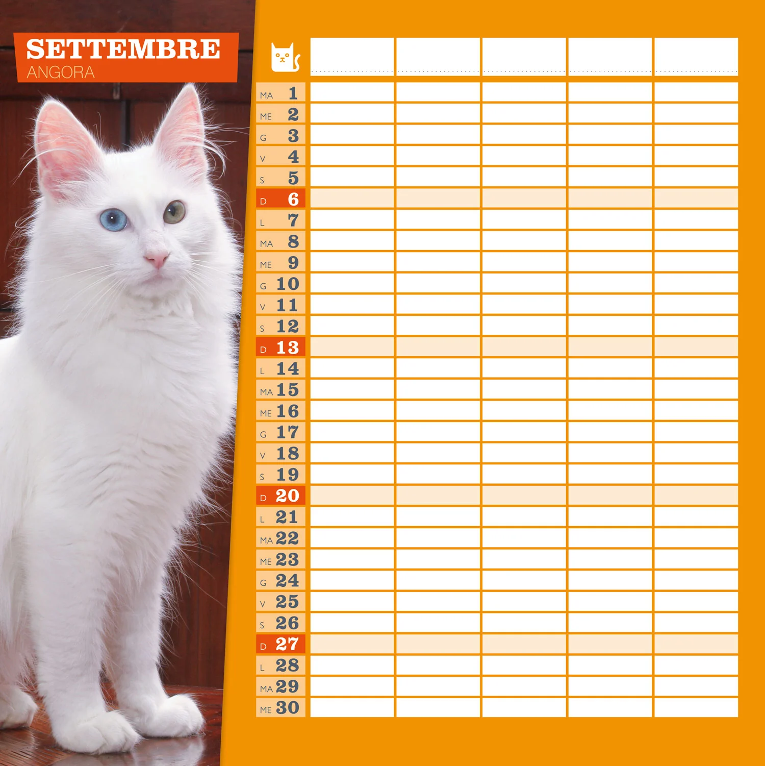 CALENDARIO GATTI  2026 da parete (30 x 30 cm) - Image 3