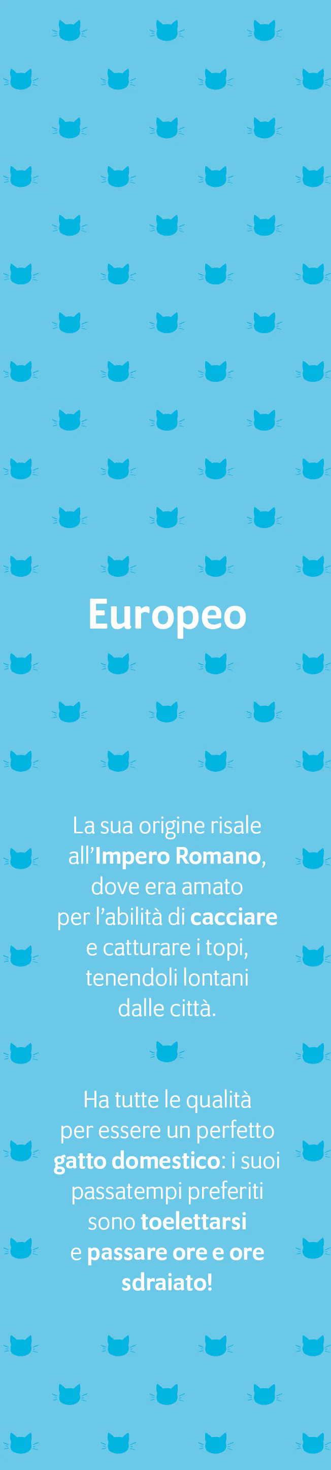 CALENDARIO GATTI CURIOSI 2026 segnalibro (5,5 X 24,5 cm) - Image 4