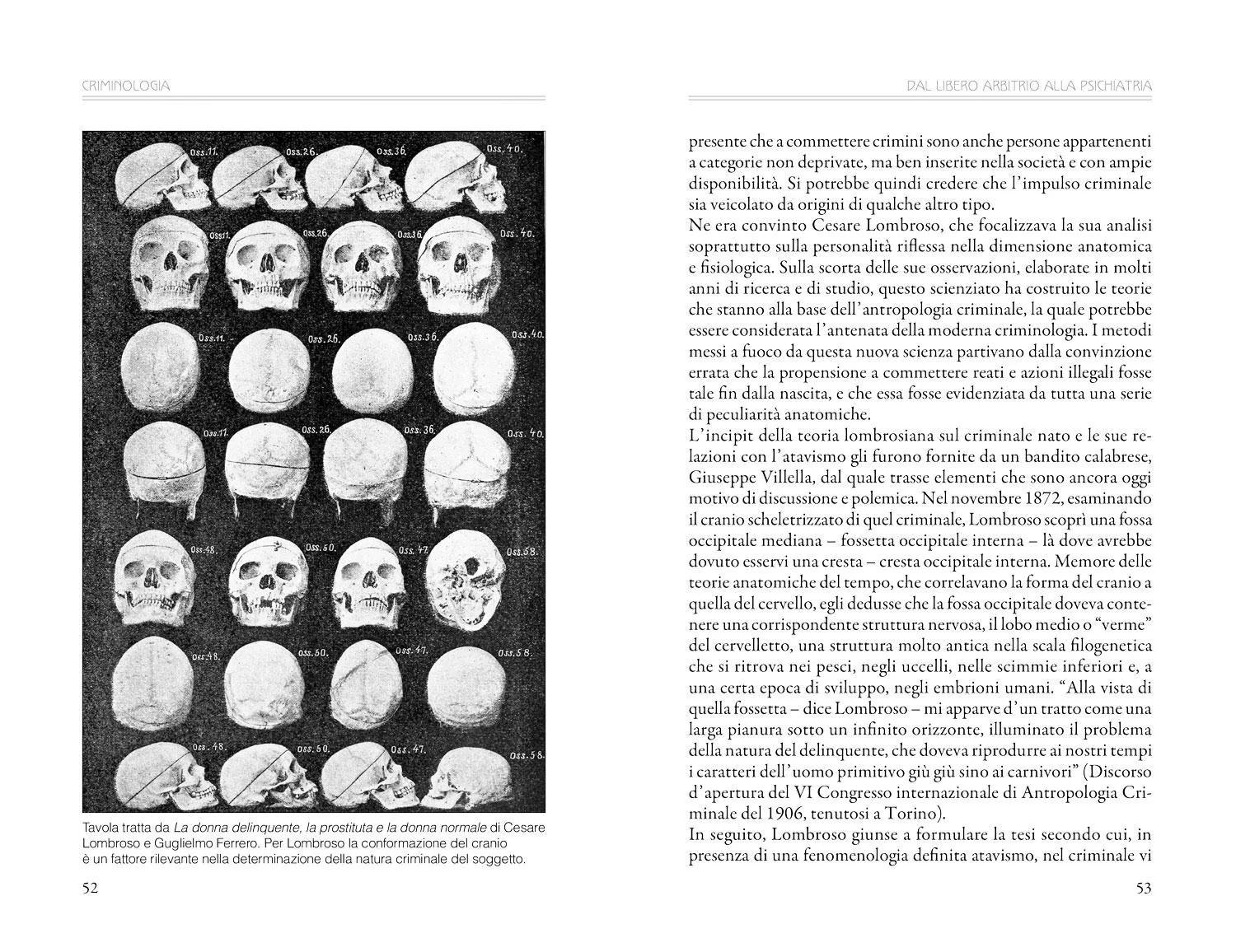 Criminologia - Image 4