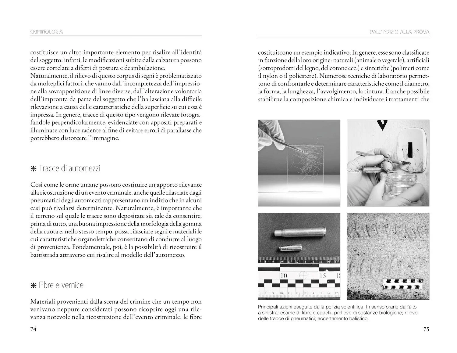 Criminologia - Image 5