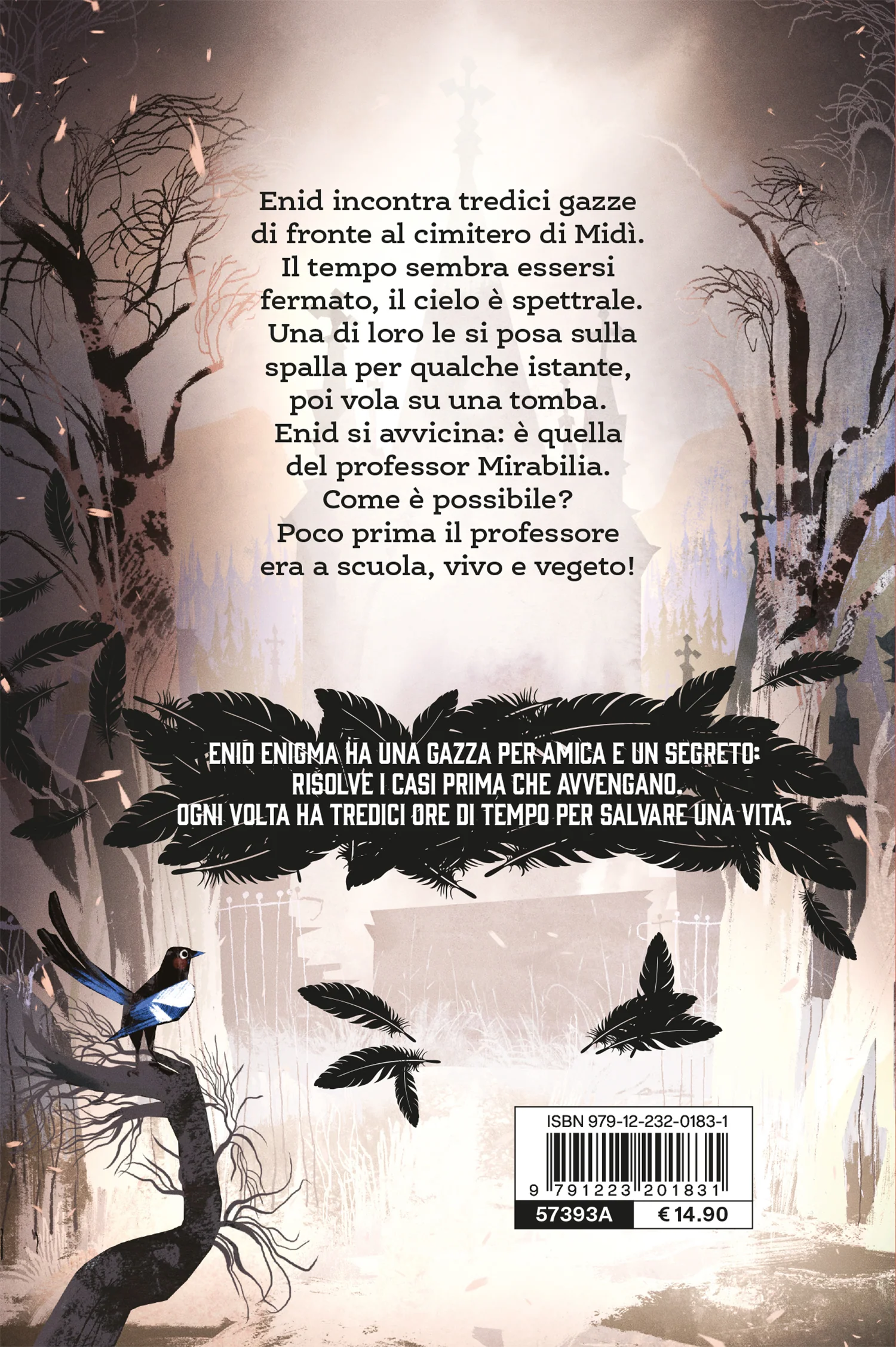 Enid Enigma. Tredici gazze per un delitto - Image 2