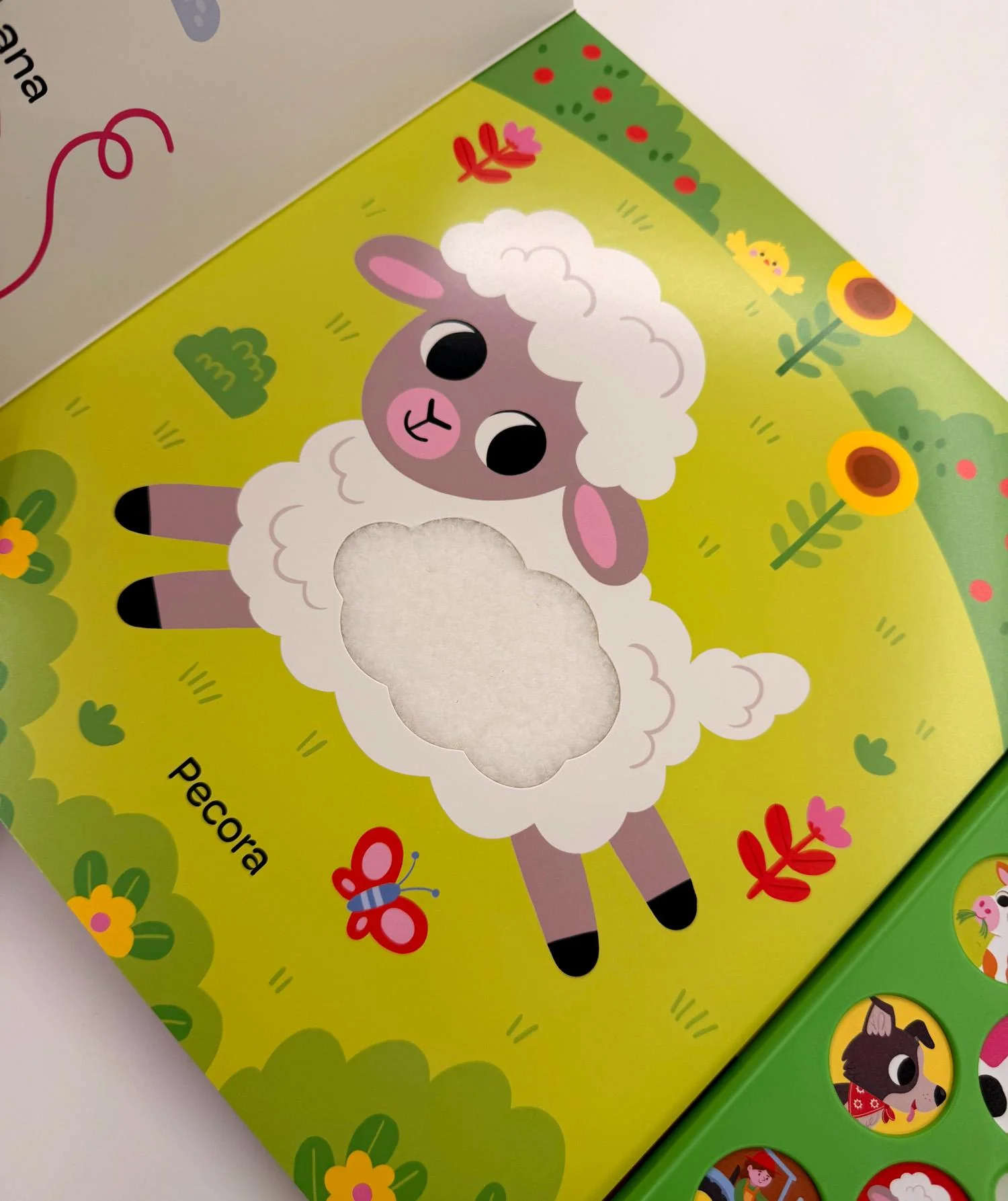 Fattoria. Un libro per ascoltare, toccare e scoprire - Image 5