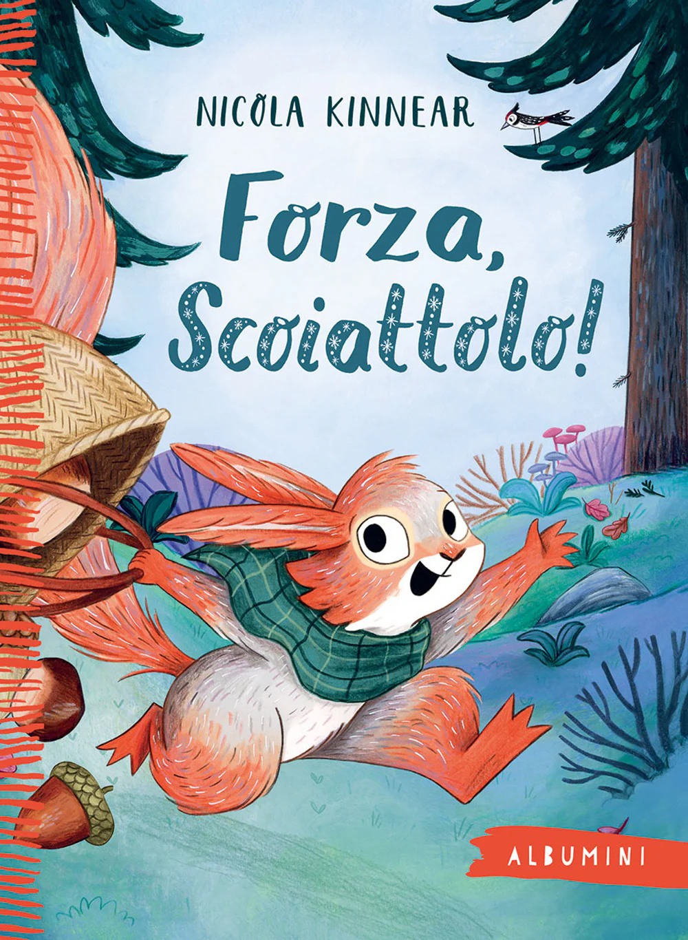 Forza, scoiattolo!