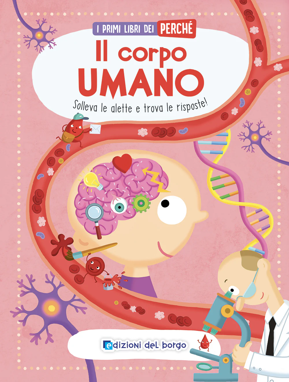 Il corpo umano. Solleva le alette e trova le risposte!