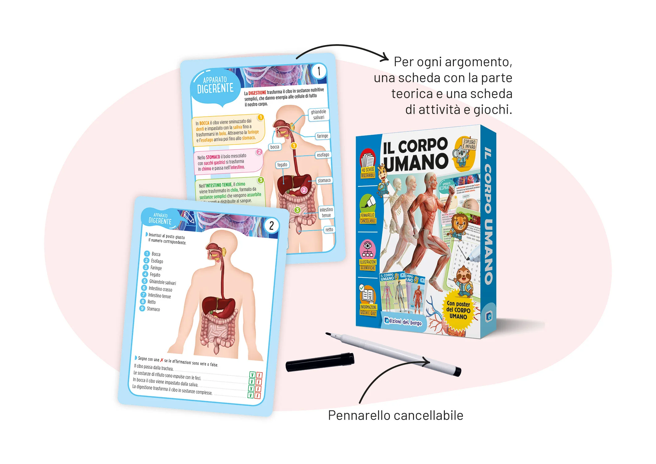 Il corpo umano - Image 3