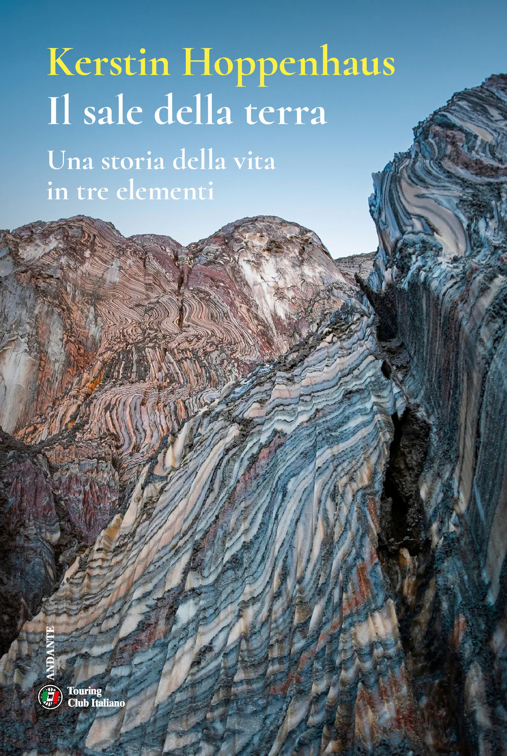 Il sale della terra. Una storia della vita in tre elementi