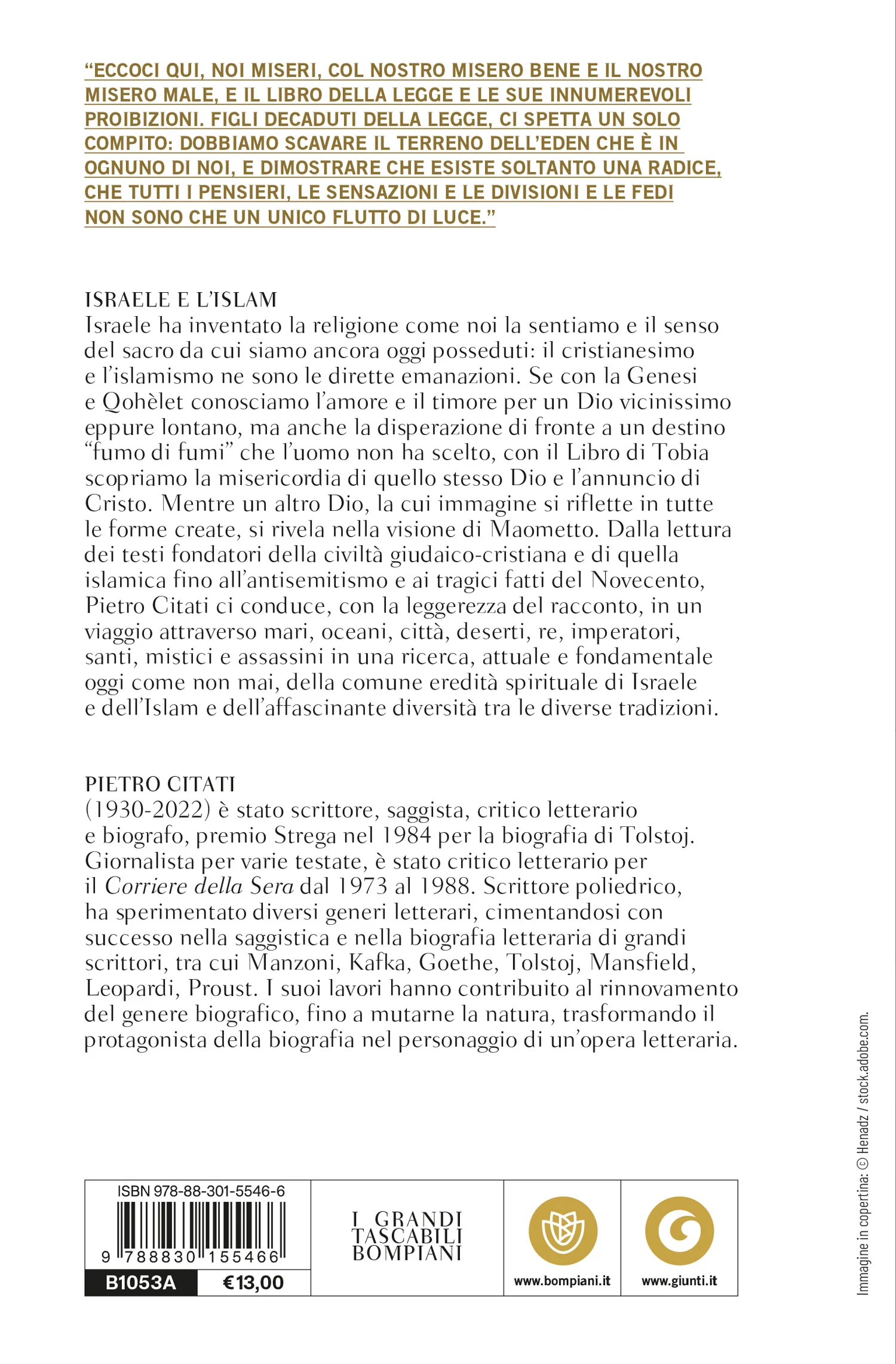 Israele e l'Islam. Le scintille di Dio - Image 2