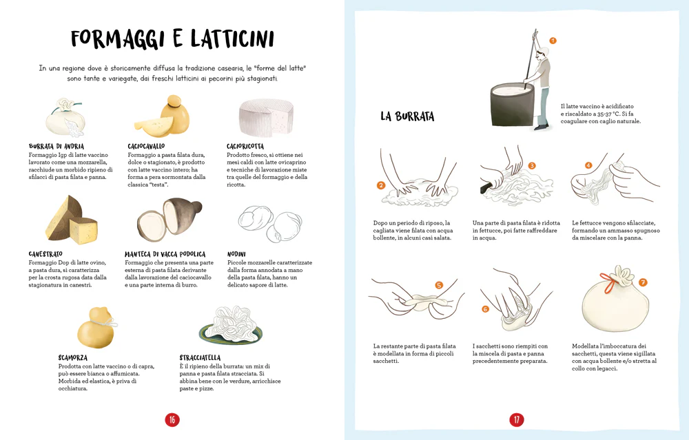 La cucina pugliese illustrata. Le ricette, i prodotti e i luoghi per conoscere tutto sulla cultura gastronomica della Puglia. - Image 5
