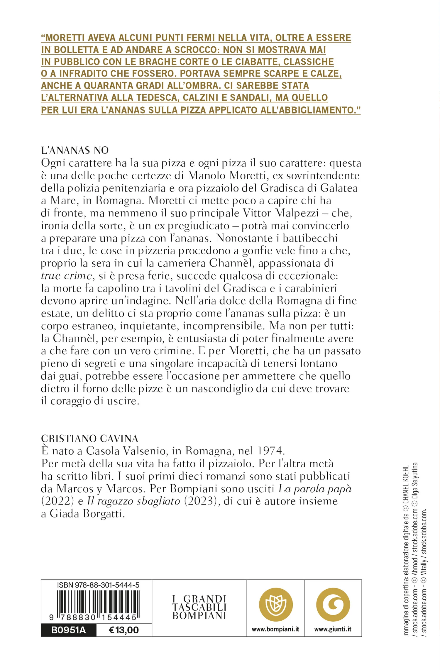 L'ananas no - Image 2