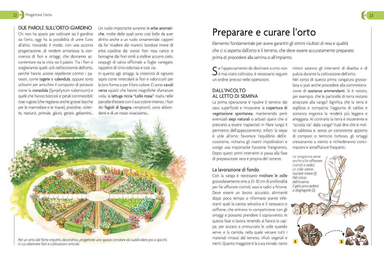 L'Orto - Image 3