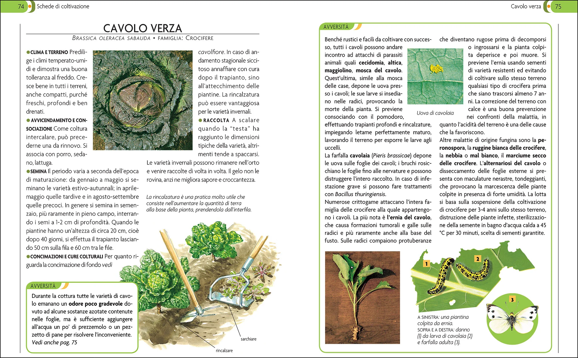 L'Orto - Image 5