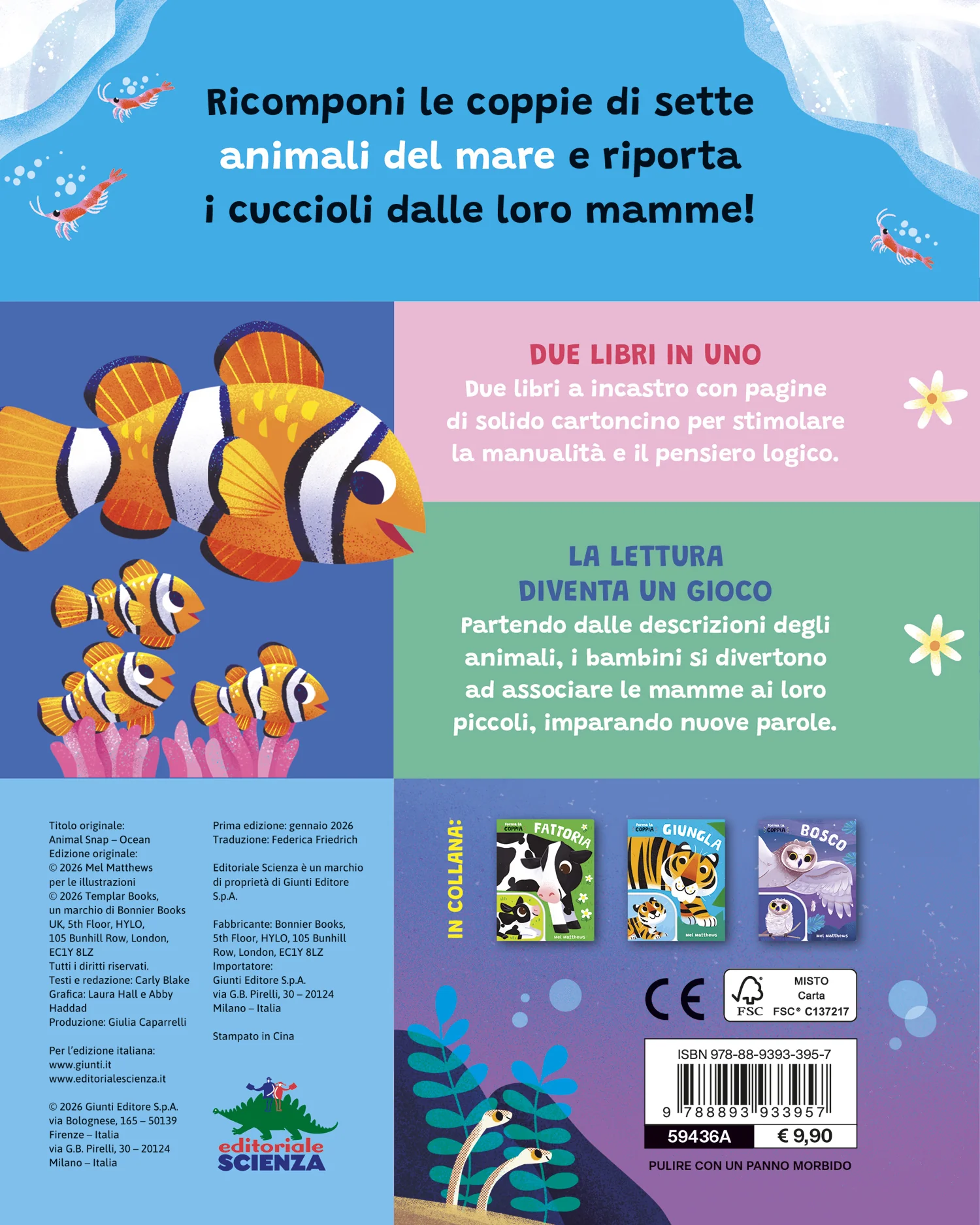 Mare - Image 2