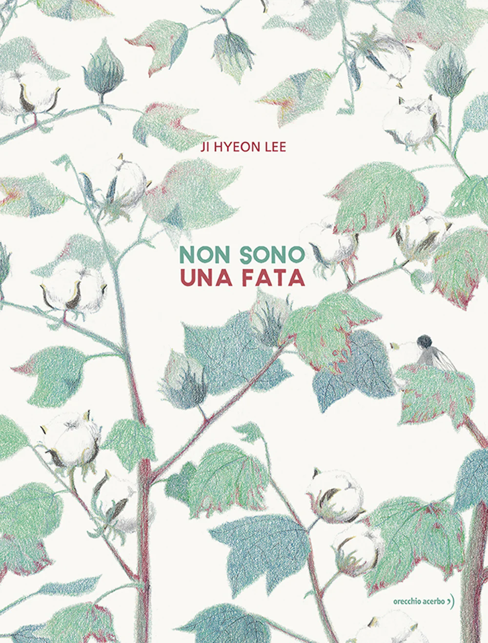 Non sono una fata