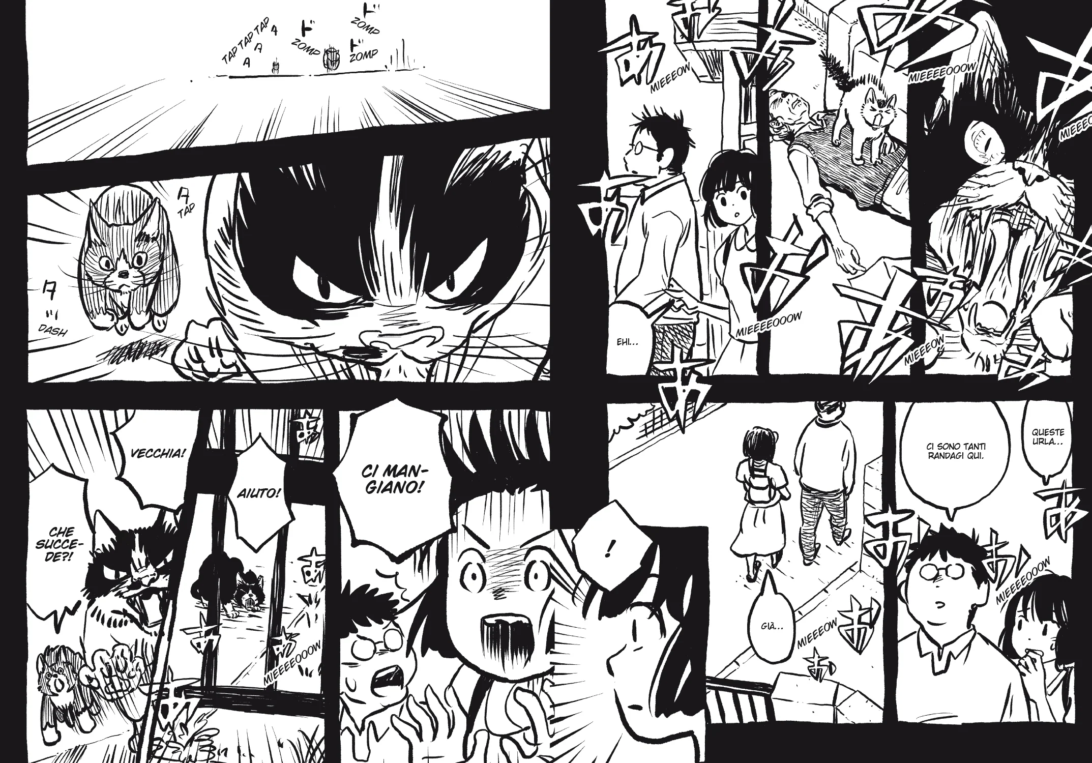 RANDAGI - VITA DA GATTI VOL. 3 - Image 6
