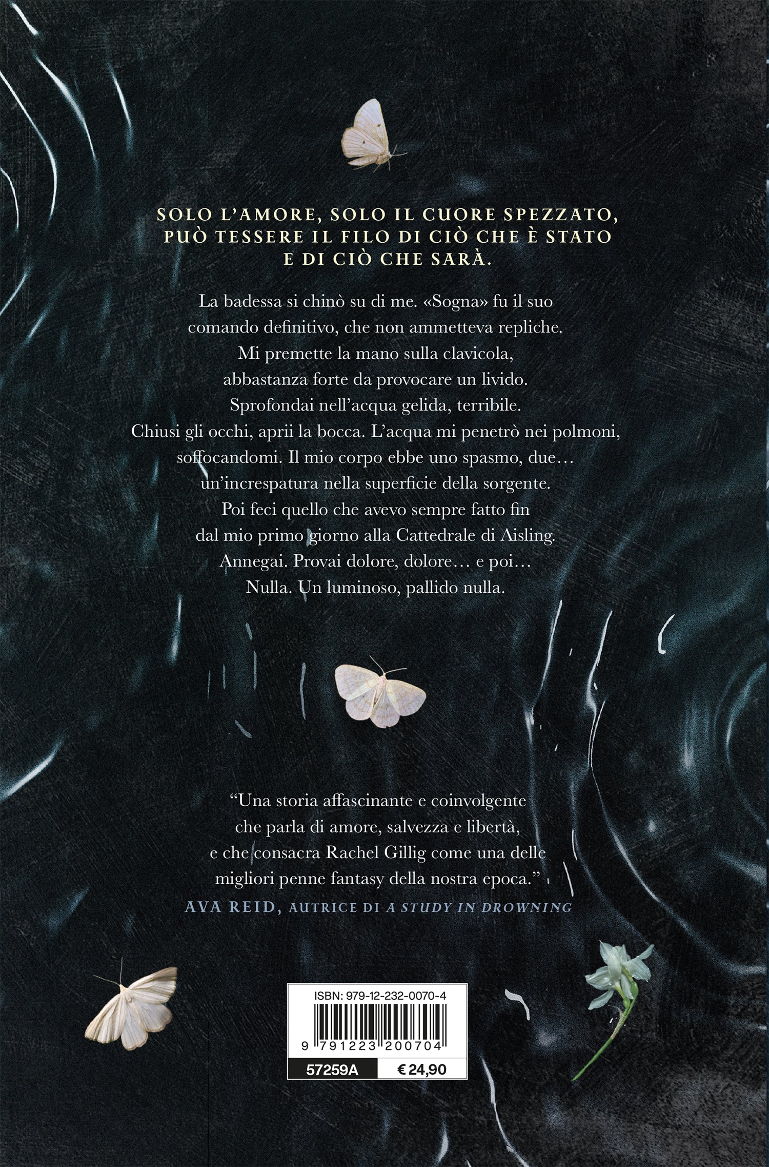 The Knight and the Moth - Image 4