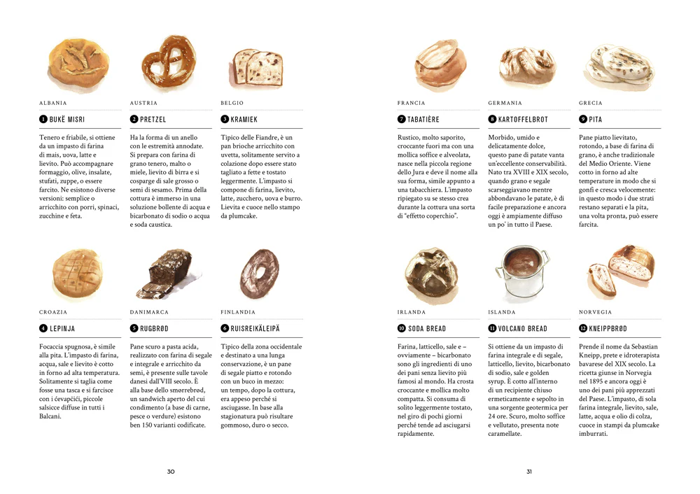 TUTTO IL MONDO DEL PANE. 400 PANI. 70 RICETTE. SCUOLE, TECNICHE, LIEVITI MADRE NEI CINQUE CONTINENTI - Image 4
